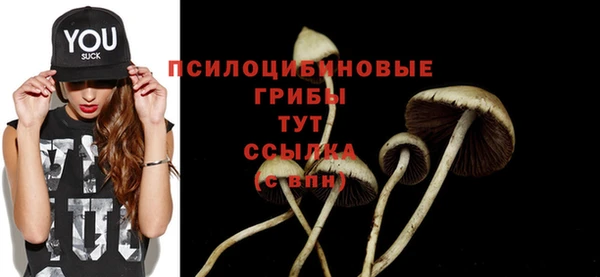 mdma Горнозаводск
