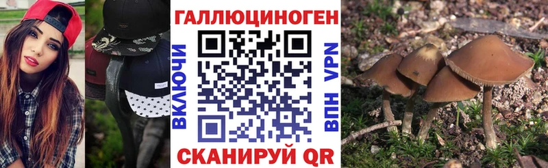ОМГ ОМГ   Дербент  Галлюциногенные грибы Magic Shrooms 