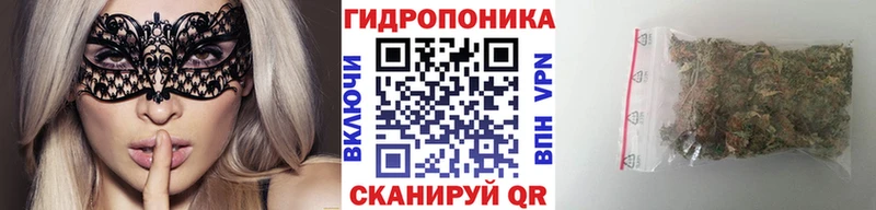 купить наркоту  Дербент  Каннабис Bruce Banner 